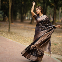 Kashmiri Lata Pata Saree