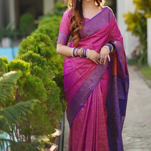 Padmaja Contrast Saree
