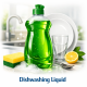 Dishwashing Liquid